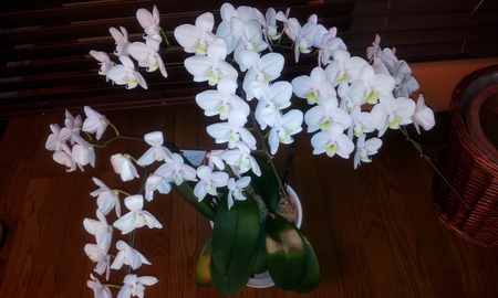 2012-08-23 17.48.49.jpg